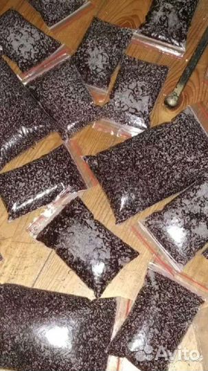 Артемия, Мотыль, Циклоп, Заморозка