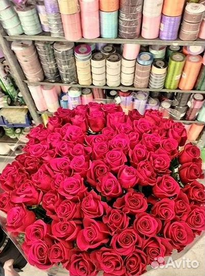 Высокие розы