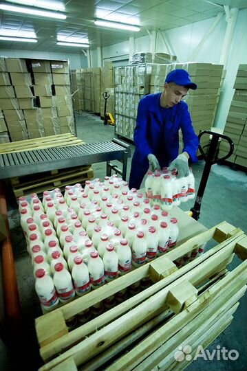 Грузчик с ежедневной оплатой