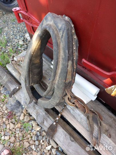 Хомут(сбруя)