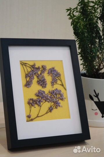 Картины из гербария; сухоцветы