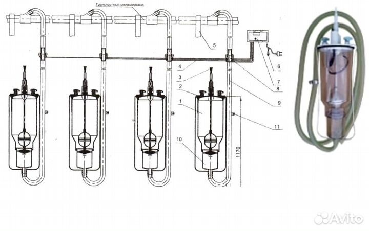 Молокопровод Израиль мс-200
