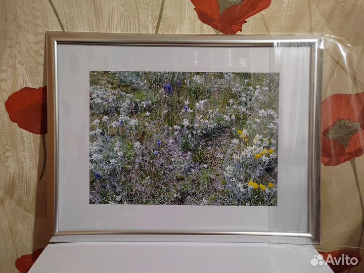 Фотокартина