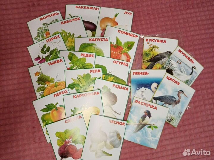 Развивающие карточки