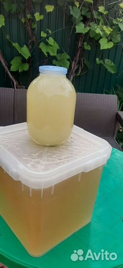 Meд с гречки и с aкации