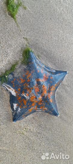 Кукла, платье и корм