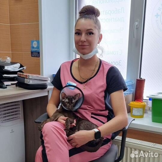 Ветеринарный врач онлайн, выезд на дом