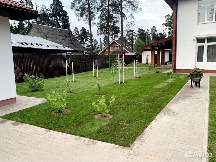 Рулонный газон от производителя