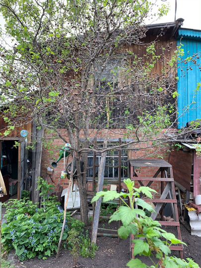 Участок 4 сот. (СНТ, ДНП)