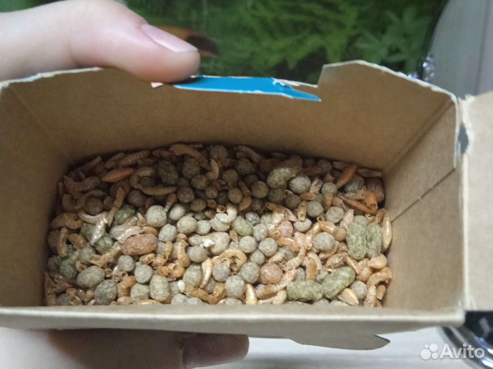 Корм для водяных черепах