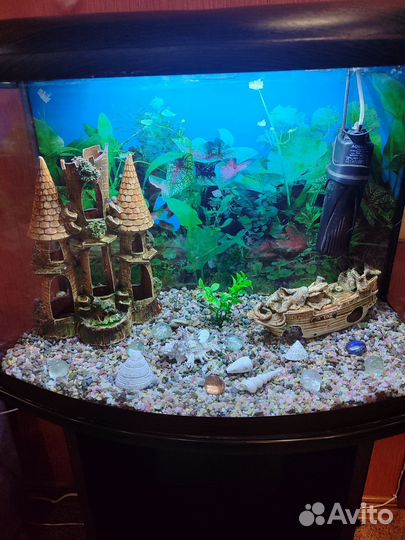 Аквариум с тумбой