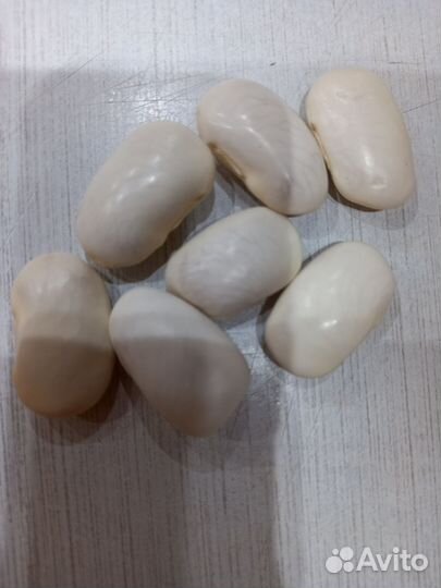 Фасоль декоративная