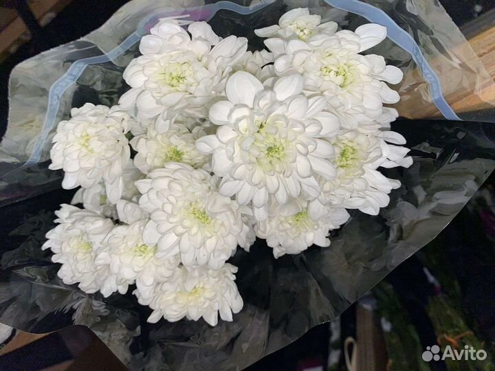 Букеты из хризантемы нск