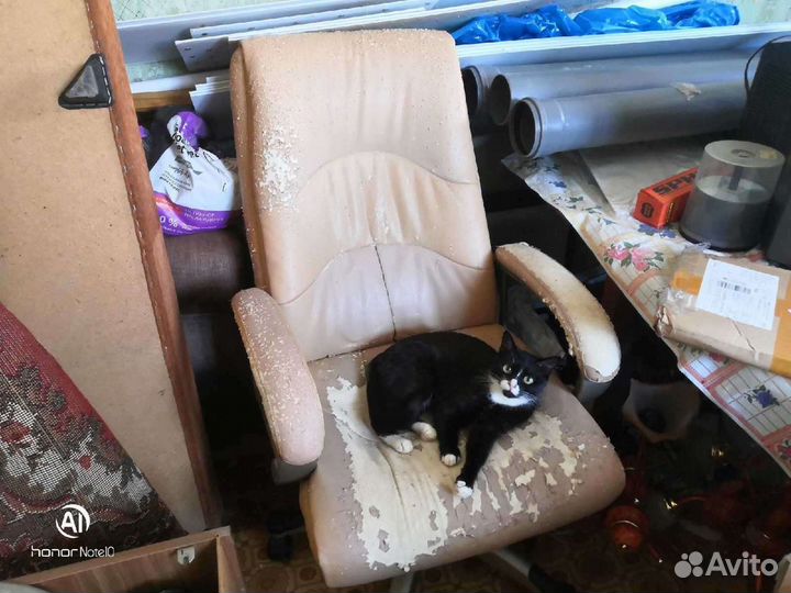 Компьютерное кресло