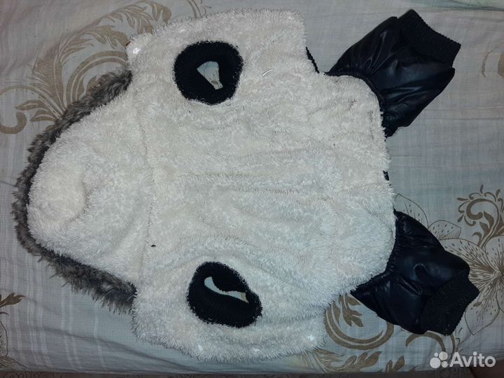 Одежда для маленьких собак