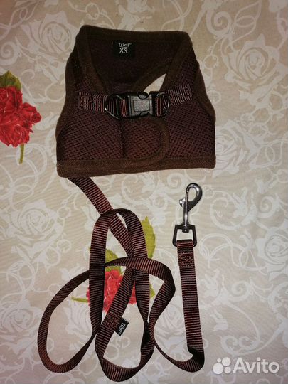 Ошейник с поводком