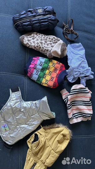 Одежда для собак xs