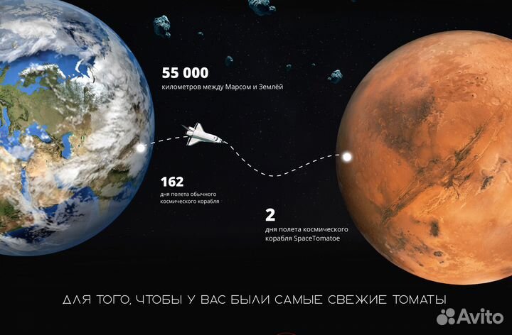 Дизайнер /Дизайн сайта/лендинг/баннер