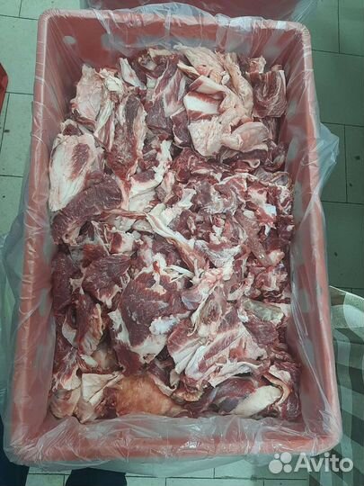 Мясо говядина 2 сорт