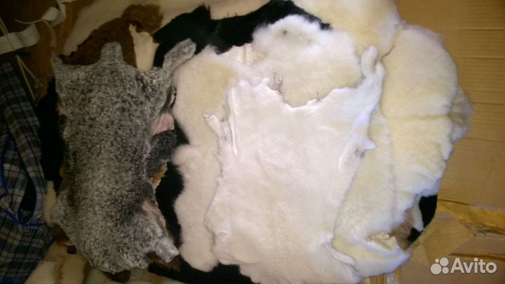 Шкуры овчина