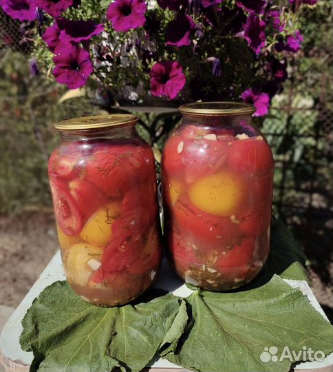 Соленья домашние