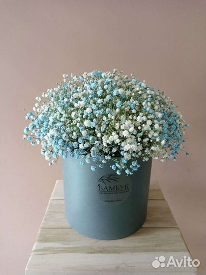 Букет из цветной гипсофилы в коробке от