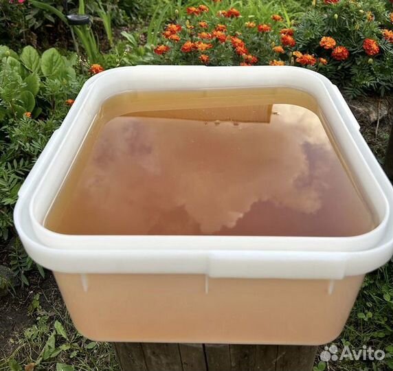 Мед алтайский 2023 года. Оптом с доставкой