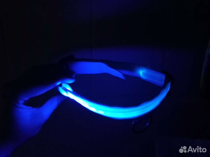 Ошейник для собак