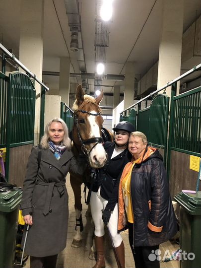 Занятия по верховой езде