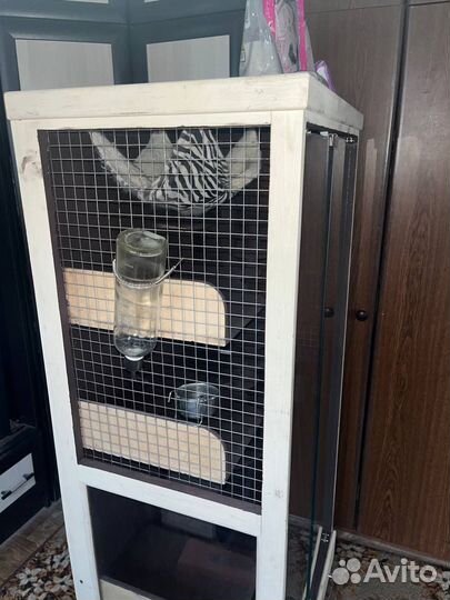 Витрина для шиншилл бу