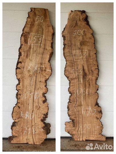 Слэб спил ивы