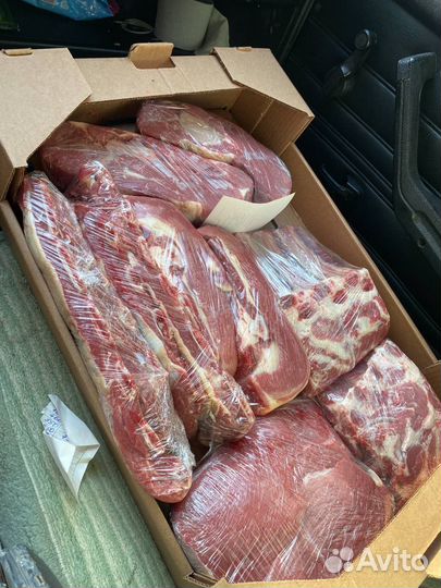 Мясо телятина