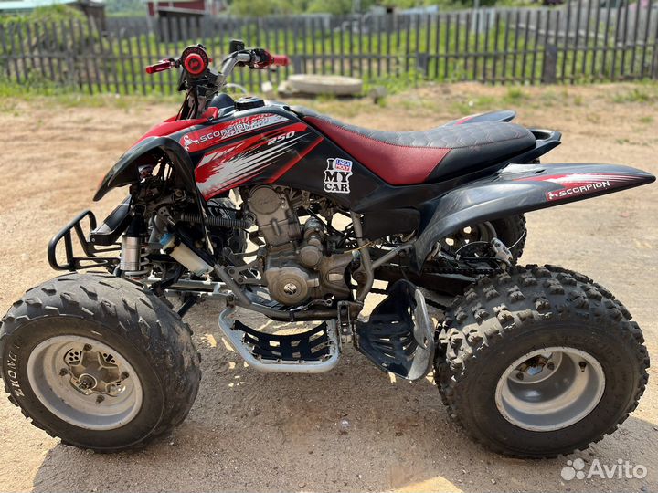 Scorpion 250