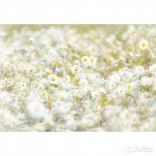 Фотообои 3d 272х260