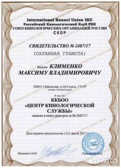 Скор документы