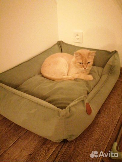 Лежанка для животных бу