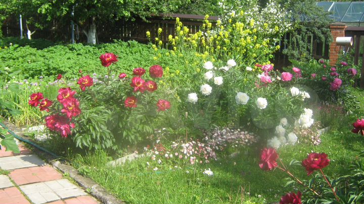 Дом 90 м² на участке 10 сот.