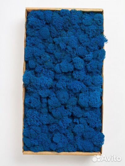 Стабилизированный мох синий для декора и дизайна