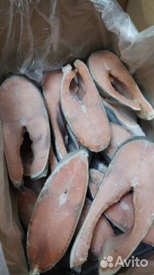 Продаю морепродукты Астрахань