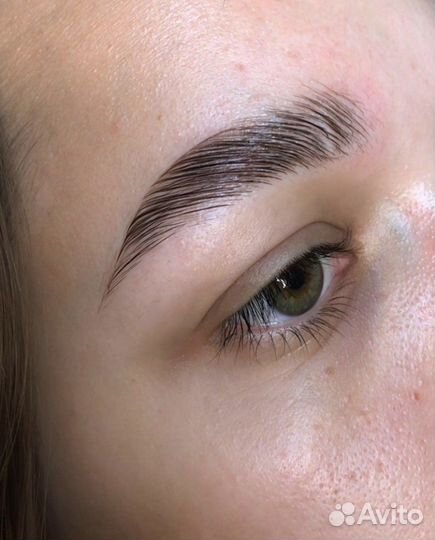 Обучение мастер бровист