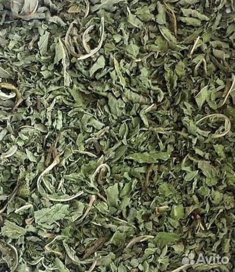 Мята перечная