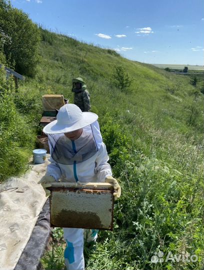 Мед цветочный разнотравье