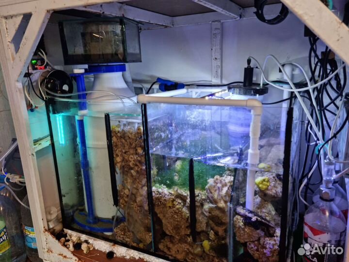 Морской аквариум 130 литров и 280 литров