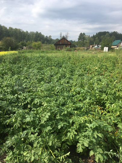 Участок 13 сот. (ИЖС)