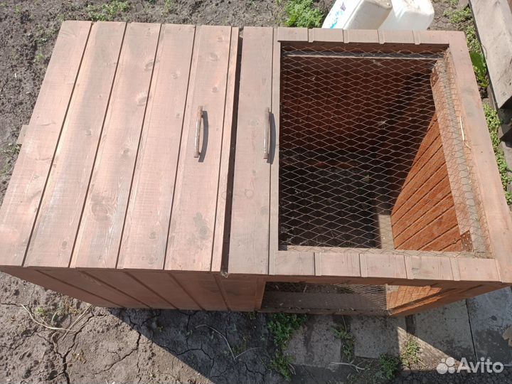 Брудер для выведения цыплят