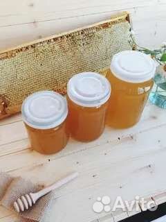 Свежий мёд август 2024