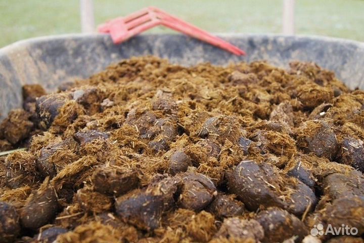 Навоз перегной