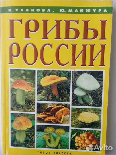 Книга-Грибы России.-Справочник