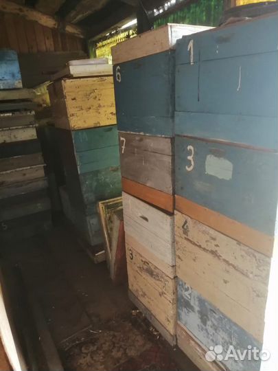 Пасека, ульи