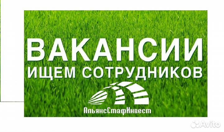 Шлифовщик Вахта Проезд Питание Проживание